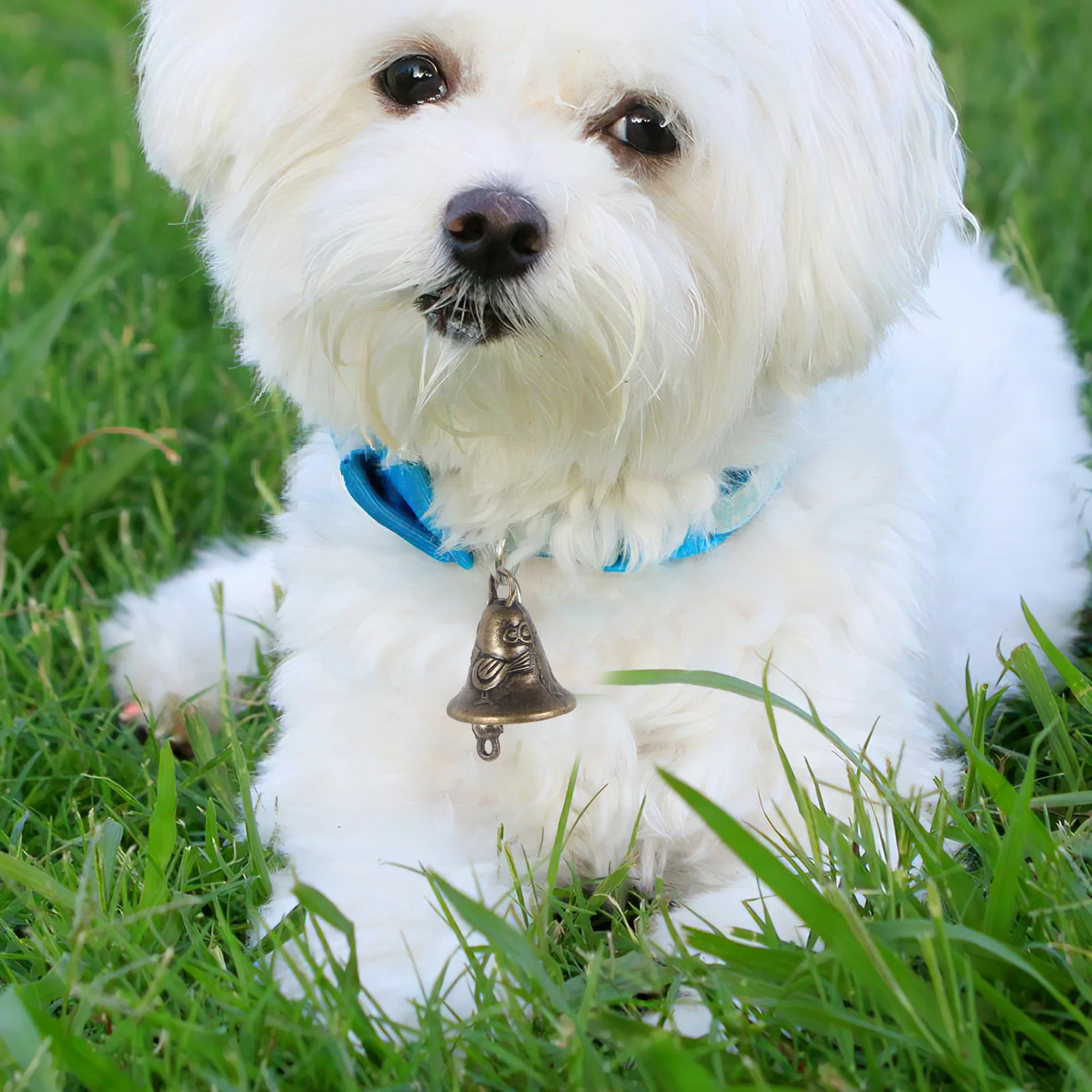 

20Pcs Metal Wind Chime Bells Vintage Alloy Hanging Ornaments for Feng Shui Protection DIY Decor Accessories