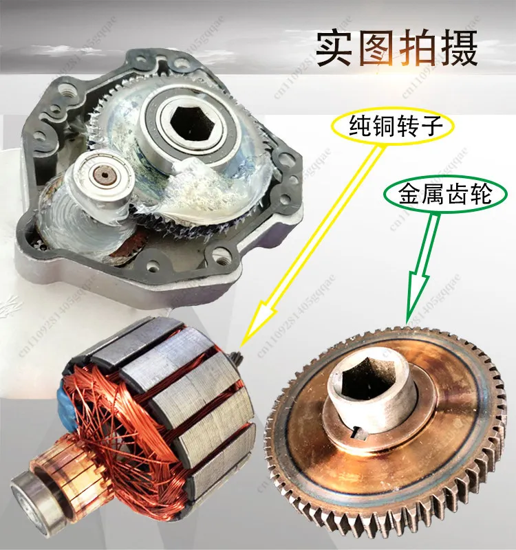 12V 24V 350W 600W Gleichstrommotor mit 428er Kettenrad für Düngung, Bodenbearbeitung, Landwirtschaftsmaschinen, Sämaschinenmotor mit Kettenrad – Detail 5