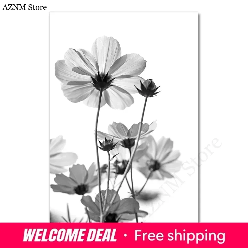 Posters Black And White Flower Print Fresh Wall Art Feather Dandelion Pictures Canvas Living Room Decoration Wall Paintings