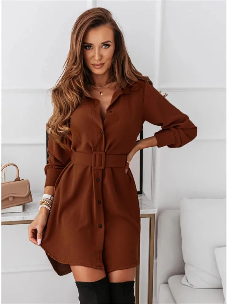 

20205 Autumn Elegante Vestidos Shirt Dress Maxi Temperament Dresses Casual Simple Style Commuting Slim Turn-down Collar Homewear