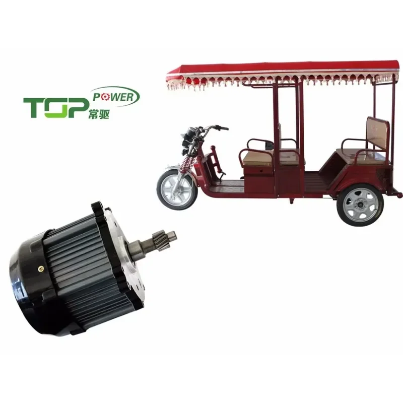 1200W Brushless DC Motor 48V 72V Waterproof Permanent Magnet for Electric Rickshaw Tricycle Rear Axle Vehicle Drive System