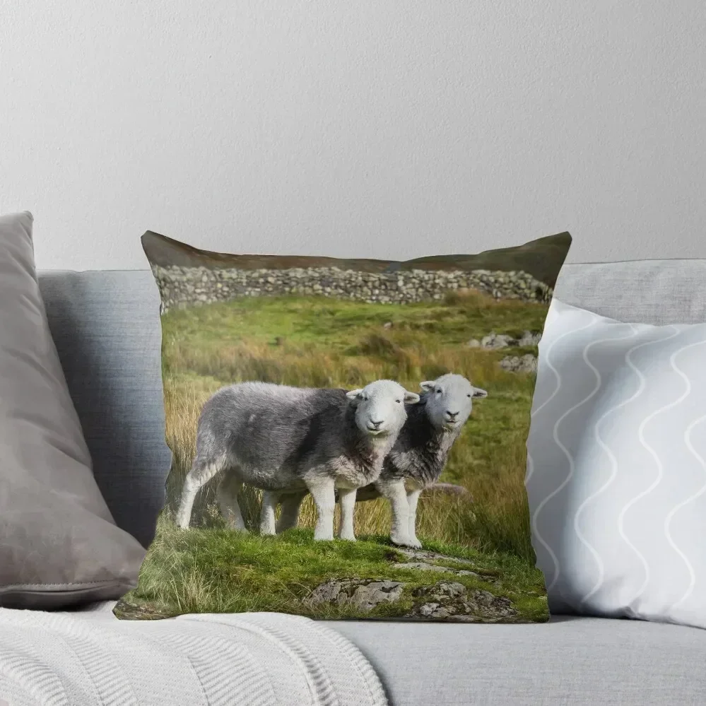 Herdwick Sheep Landscape Throw Pillow Decorative Cushions For Living Room Covers For Sofas Christmas Pillow pillow