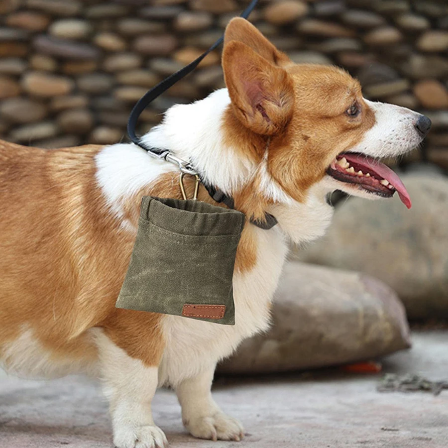 Bolsa de entrenamiento para perros portátil resistente con premios - imagen 4