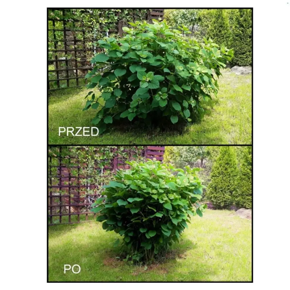 Durable Adjustable Plant Stem Support ABS Round/Square Vine Branch Hooks Garden Plant Trellis