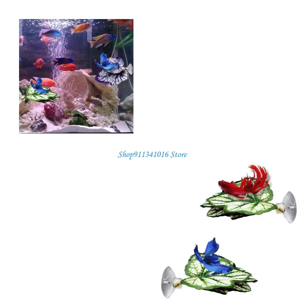 

Betta Fish Bed Simulation Hammock Nature Habitats Fishtanks Spawning Grounds Suction Cup Resting Bed