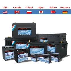 LiFePO4 리튬 다리미 인산염 배터리, 골프 카트, EV, RV, 태양 에너지용, BMS, 12V, 24V, 36V, 48V, 100Ah, 120Ah, 200Ah