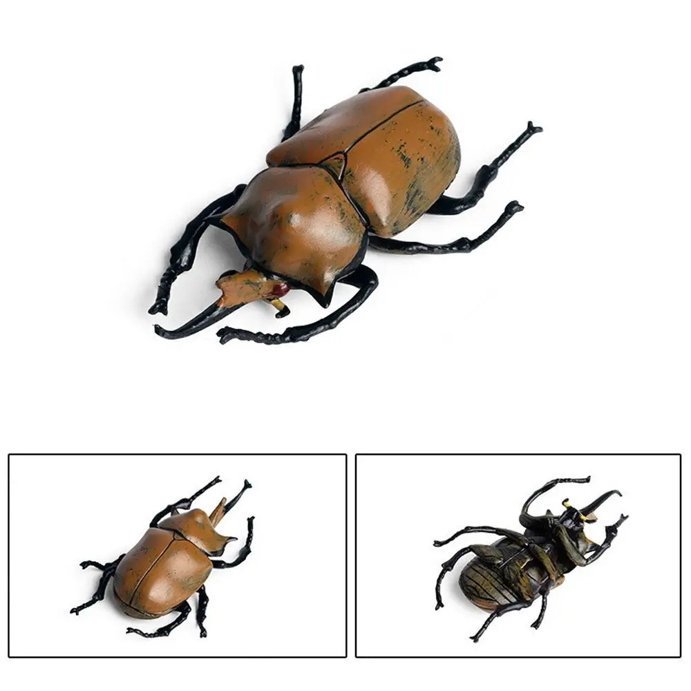 

Realistic Insect Animals Model Longhornedbee Wild Insect Beetle Action Figures Education Dynastes Lifelike Insect Figurines