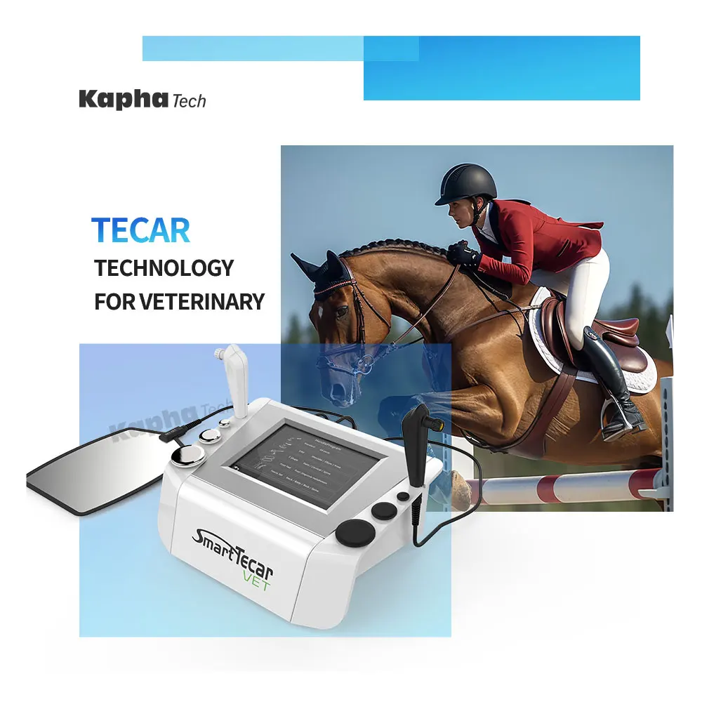 

Аппарат для физиотерапии лошади Diathermy Equine Tecar с ручками D80 448 кГц