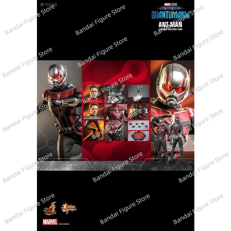 

HOTTOYS HT MMS690 1/6 Человек-муравей, обновленная голова, скульптура человека, фигурка Человека-муравей и Оса: Квантумания, мини-фигурка из фильма 12 дюймов