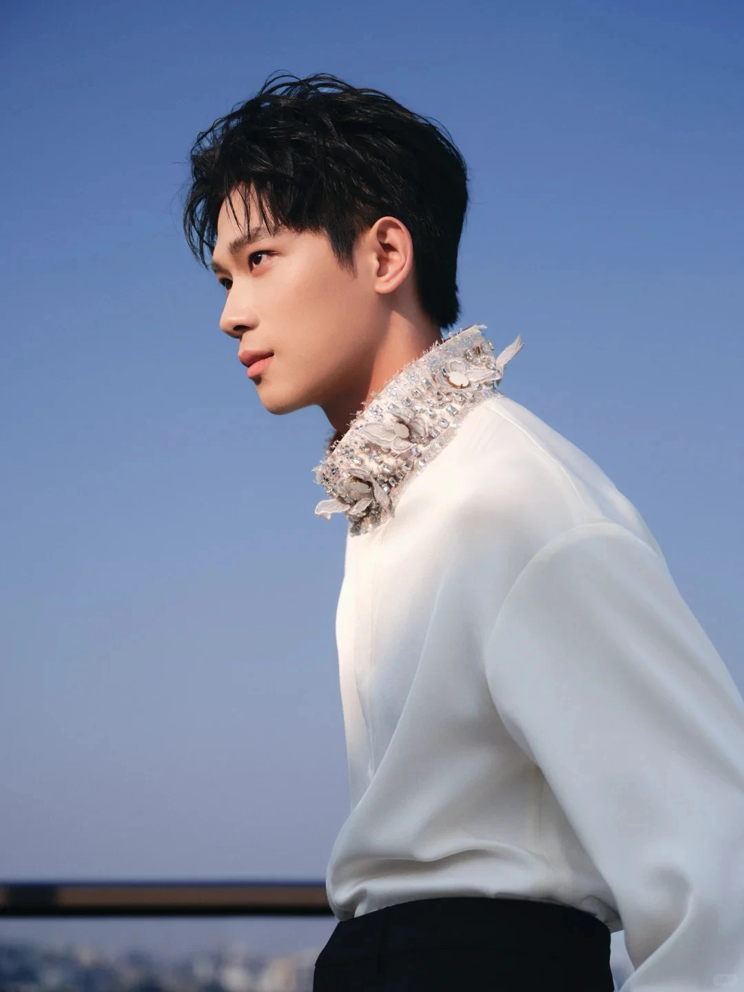 Fashion Stand Collar Shirts Men 2025 Autumn New Handmade Butterfly Diamond Design Tops Handsome Elegant Light Luxury Chic Shirts