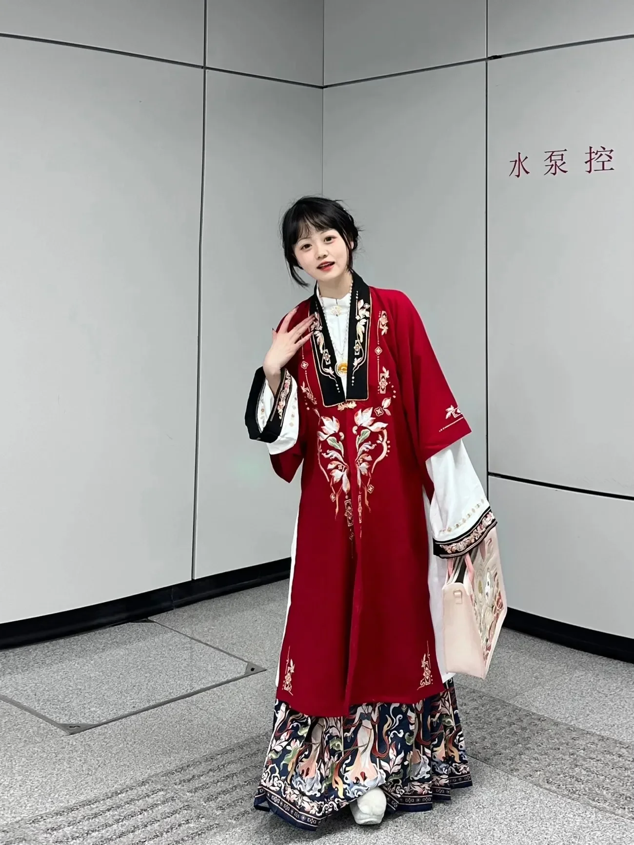 Winter Ming Dynasty Hanfu Dress Thicker Coats for Women Original Ma Mian Skirts Christmas New Year Costume Chinese Ancient Tradi