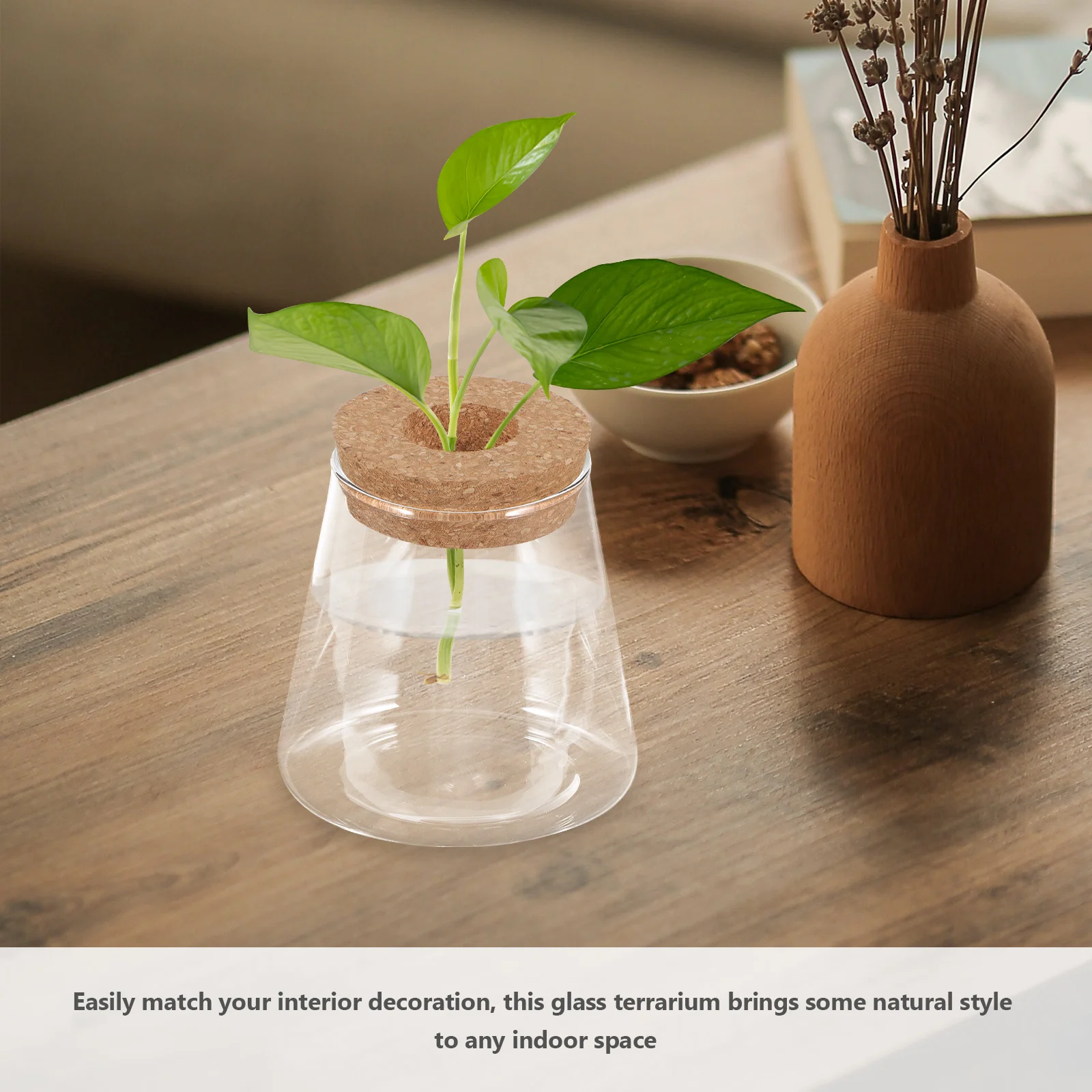 

Small Glass Terrarium for Plants and Fish Clear Micro Landscape Container Ideal Desktop Decor Home Office Party Accessory