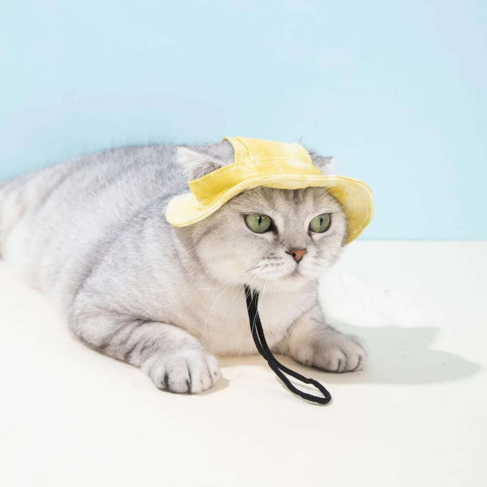 Pet Sun Hat For Dogs Cats Ear Hole Design Anti-Strangle Adjustable Drawstring Buckle Breathable Fisherman Cap Outdoor Sun