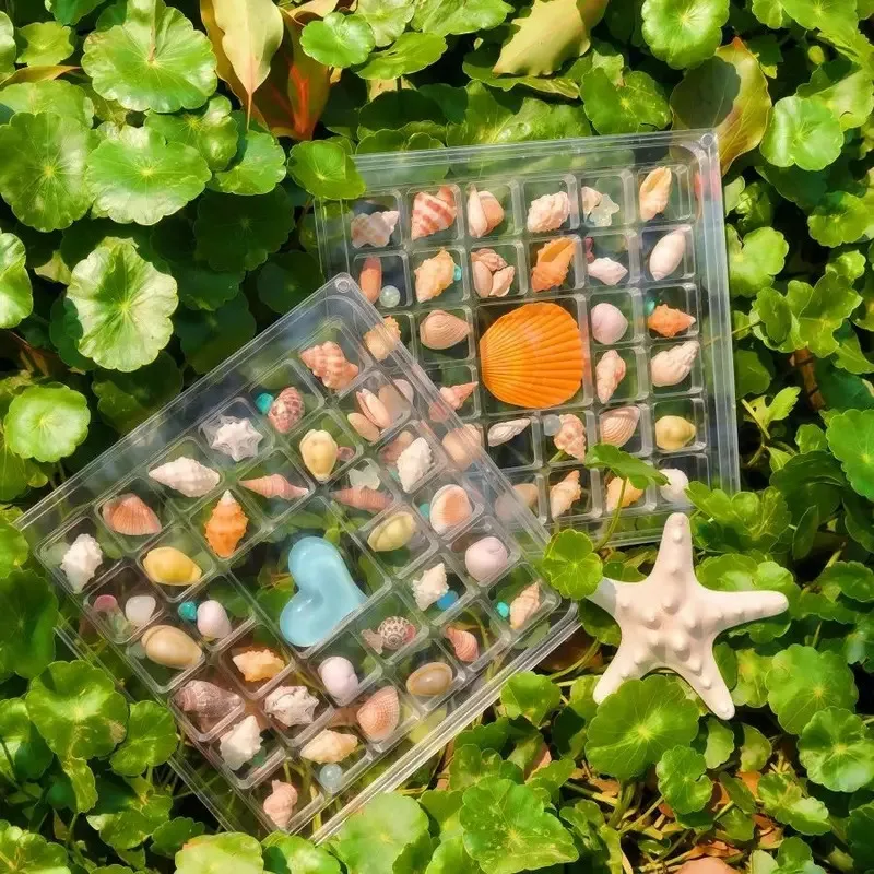 33–36 grid acrylic transparent shell storage box, strong magnetic specimen organizer, multi-grid seaside stone display rack