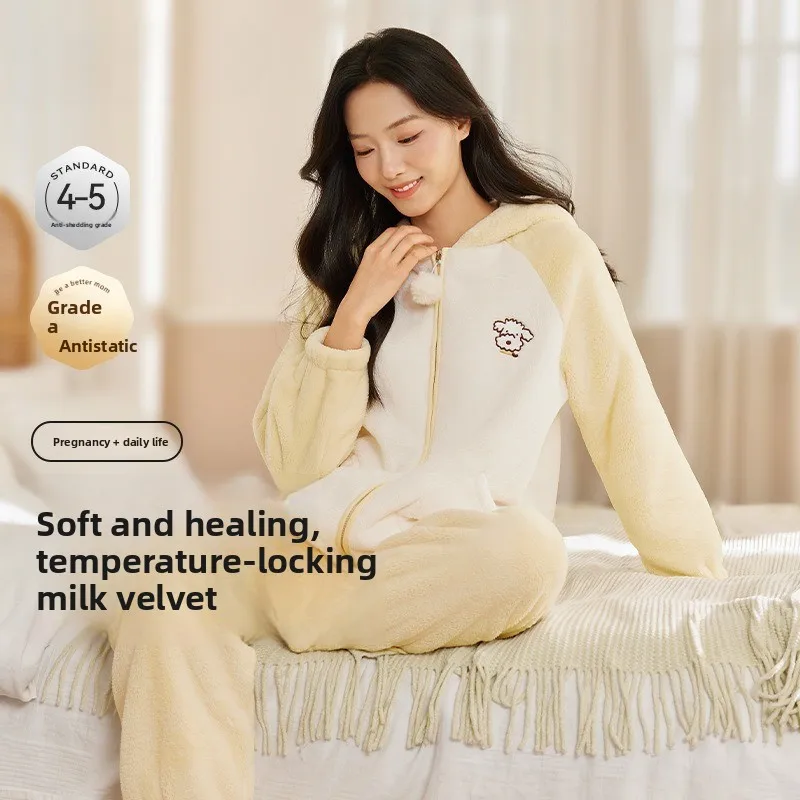 vetements-de-maison-pour-femmes-enceintes-vetements-de-confinement-en-polaire-de-lait-pyjama-a-capuche-pour-grossesse-post-partum-automne-et-hiver