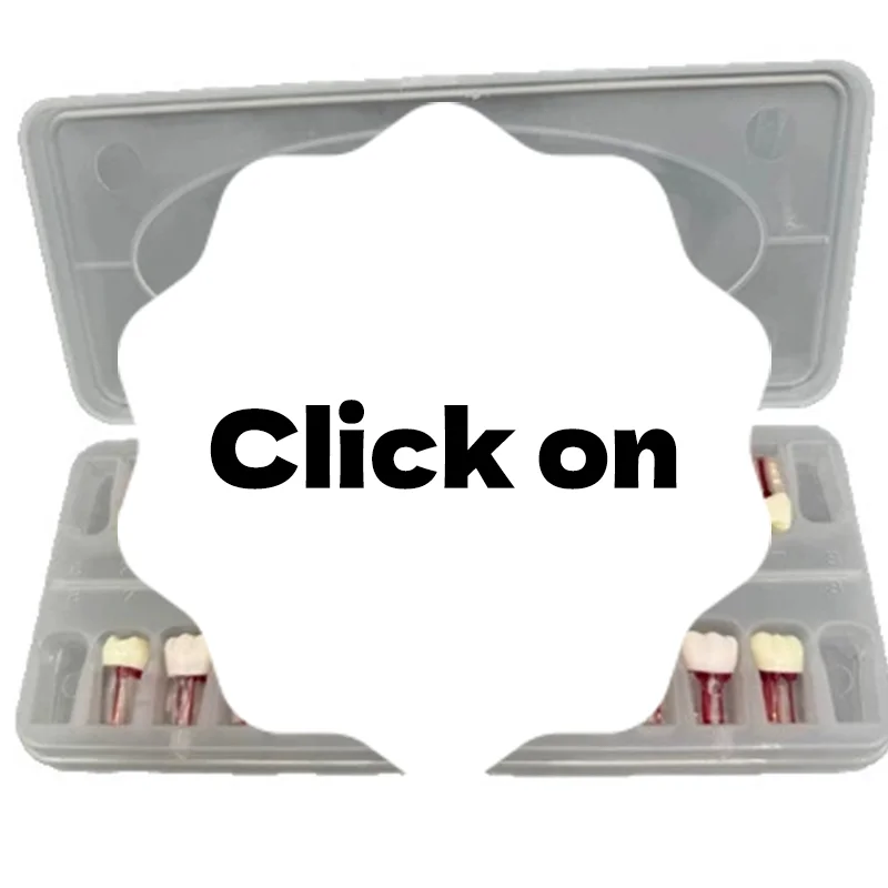 

28pcs/set Dental Endodontic Teeth Model Full Mouth Root Canal Practice Study Model Endo Teeth Block Training