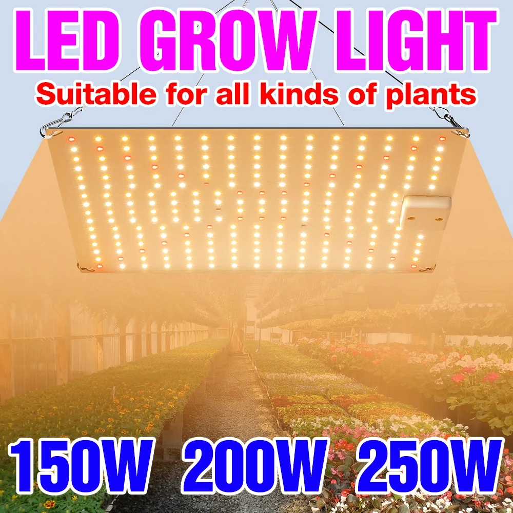 

250W LED Grow Light Full Spectrum Quantum Board Plant Cultivation Lamp For Indoor Potted Fruit Greenhouse Tent Cactus Vegetable
