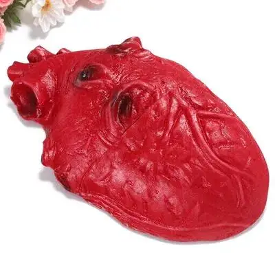 

Fake Heart Prop - Realistic Human Organ for Spooky Halloween Party Decor Haunted Stage Performance April Fool Pranks