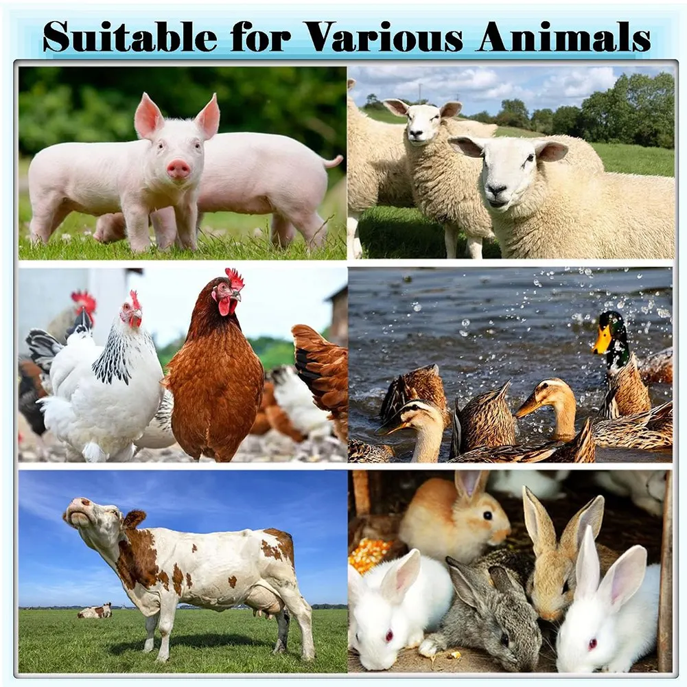 

AB11-Вeterinary Drencher, устройство для наполнения лекарств, устройство для ухода за скотом, устройство для кормления, дозатор ветеринарной медицины