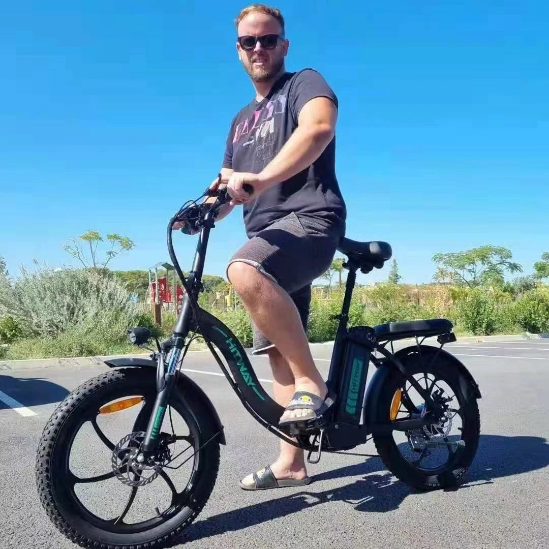 

Intelligent Library EU Warehouse Stock HITWAY 36V 250W Lithium Battery Mountain Electric Bike 20inch Fat Tire Electric Bike