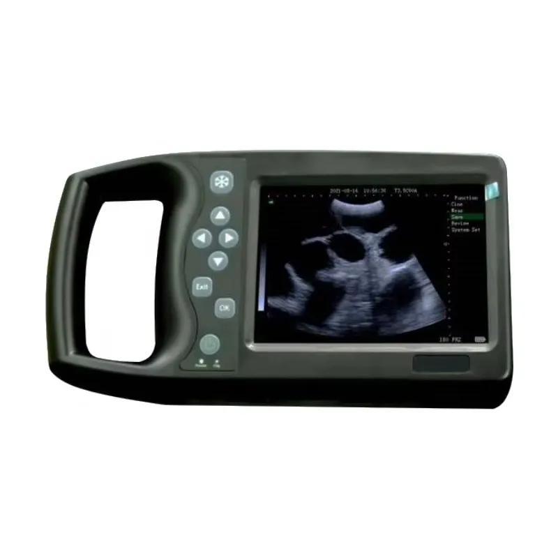 

Vet Medical Ultrasound Instruments Veterinary Ultrasound Machine Animal