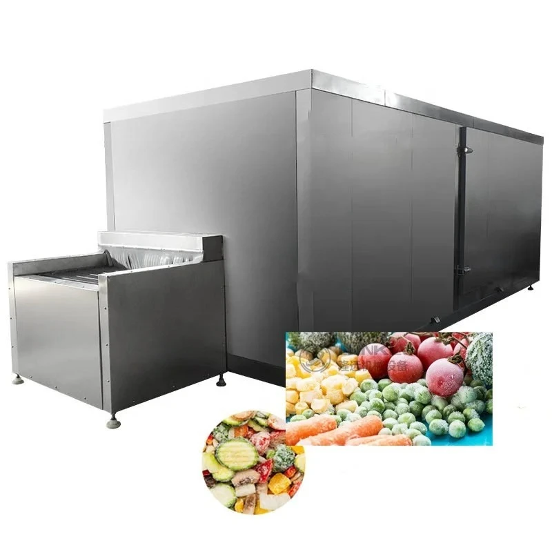 Fruits Vegetables Frozen Fish Meat Quick Cooling Machine Iqf Tunnel r  Equipment Processing Line