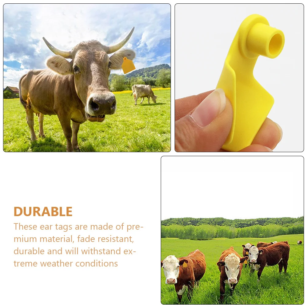 100 قطعة علامة أذن البقرة المهنية دائم مانعة لتسرب الماء الماشية معرف العلامات فارغة الماشية اكسسوارات إدارة الألوان #4