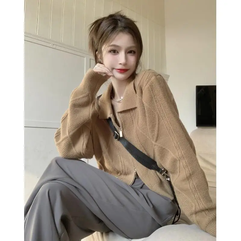 Jesienna odzież damska Polo-neck Niche Chic Zipper Knitted Sweater Fashion Comfortable Trend Casual Korean All-match Youth Easy