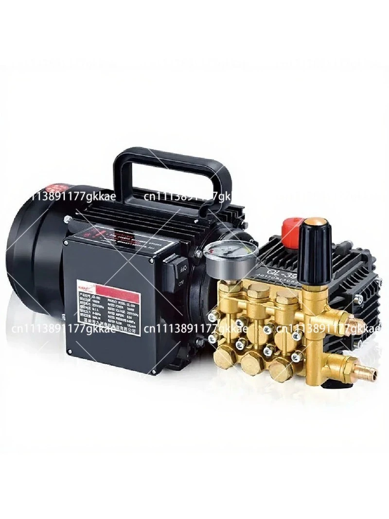 Brass Plated Triplex Plunger Pump High Pressure Washer for Household Car Wash 1.6-1.8KW 80-100bar 10LPM