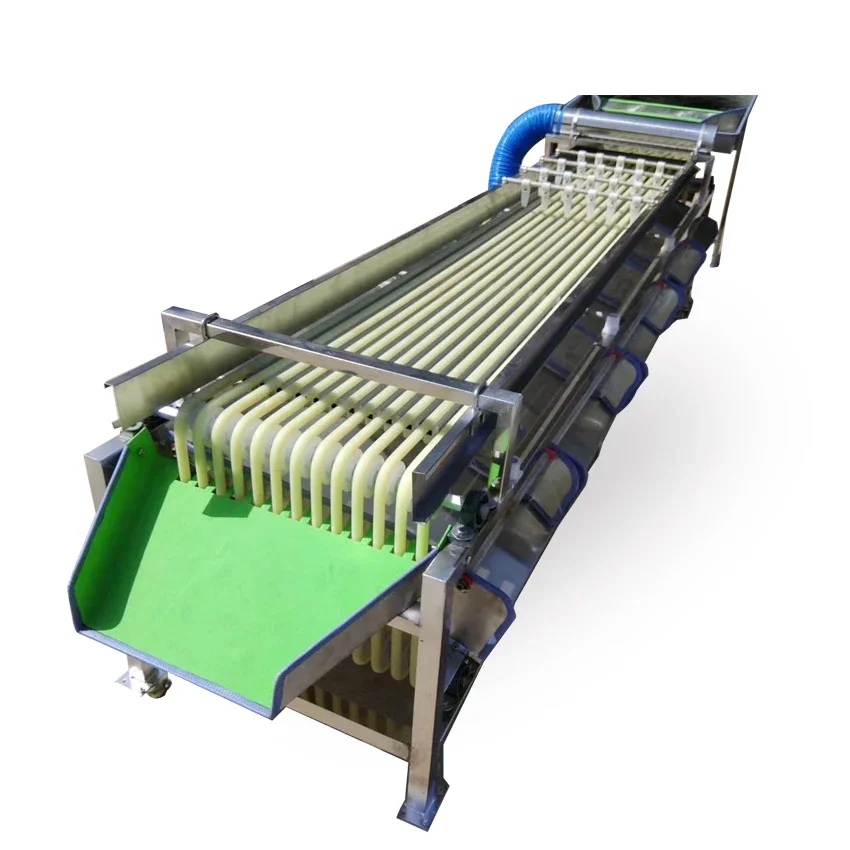 Multifunctional Fruit Grading Sorter Weight Sorting Conveyor Belt Weight Sorting Machine