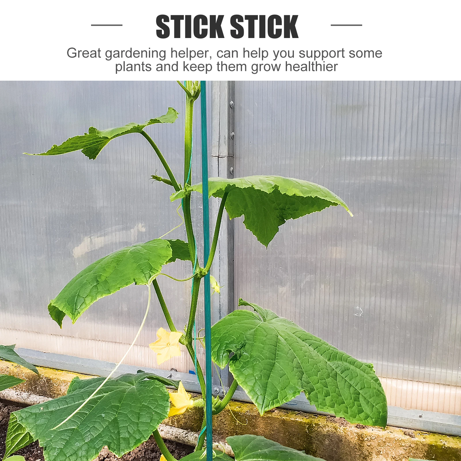 

Bamboo Stick Gardening Plants Support Green Color Flower Arrangement Pole Decorative Stake Vine Helper Plant Stakes Bamboo Poles