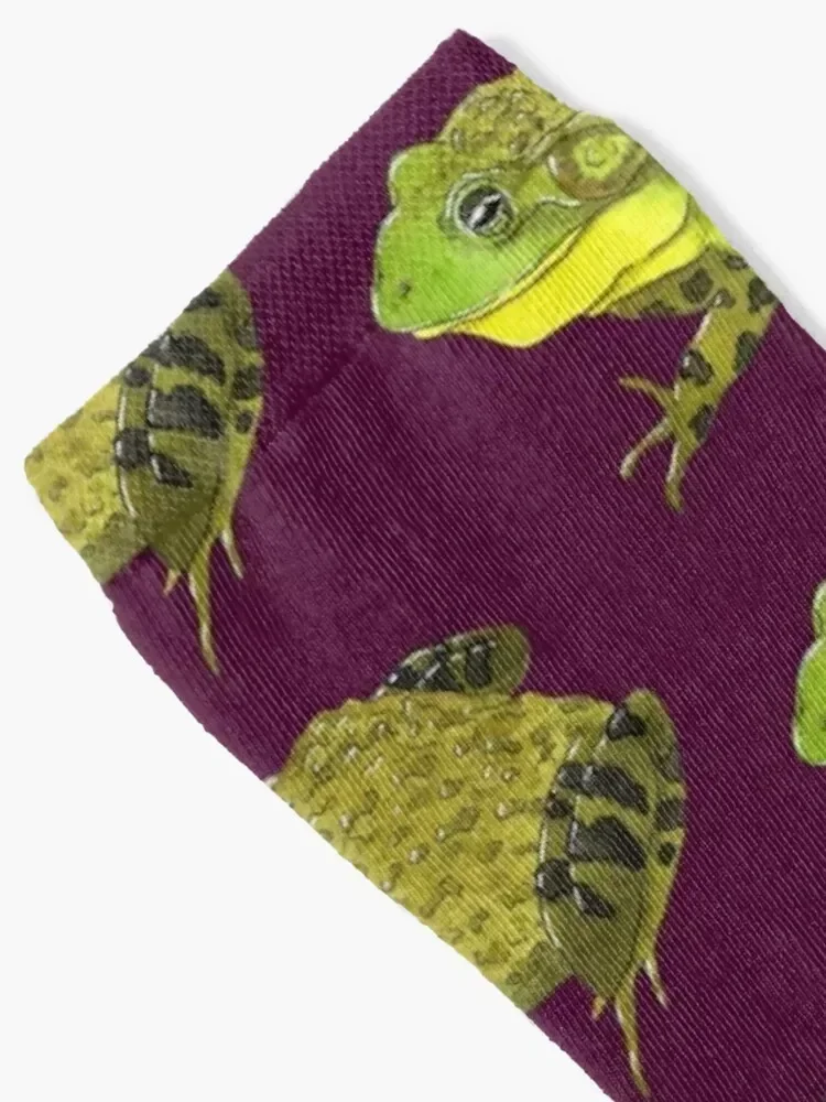 American Bullfrog Socks funny gifts Rugby gifts valentine gift ideas Men's Socks Luxury Women's