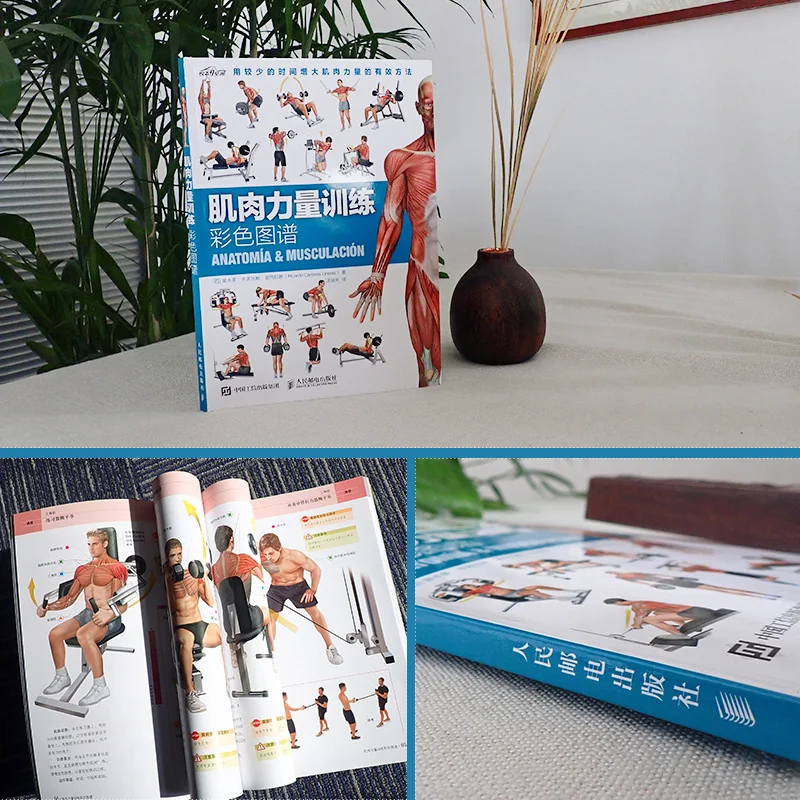 Muskelkraft training Farb karte Stretching Trainings buch Muskel training Karte Fettabbau und Muskelaufbau Buch