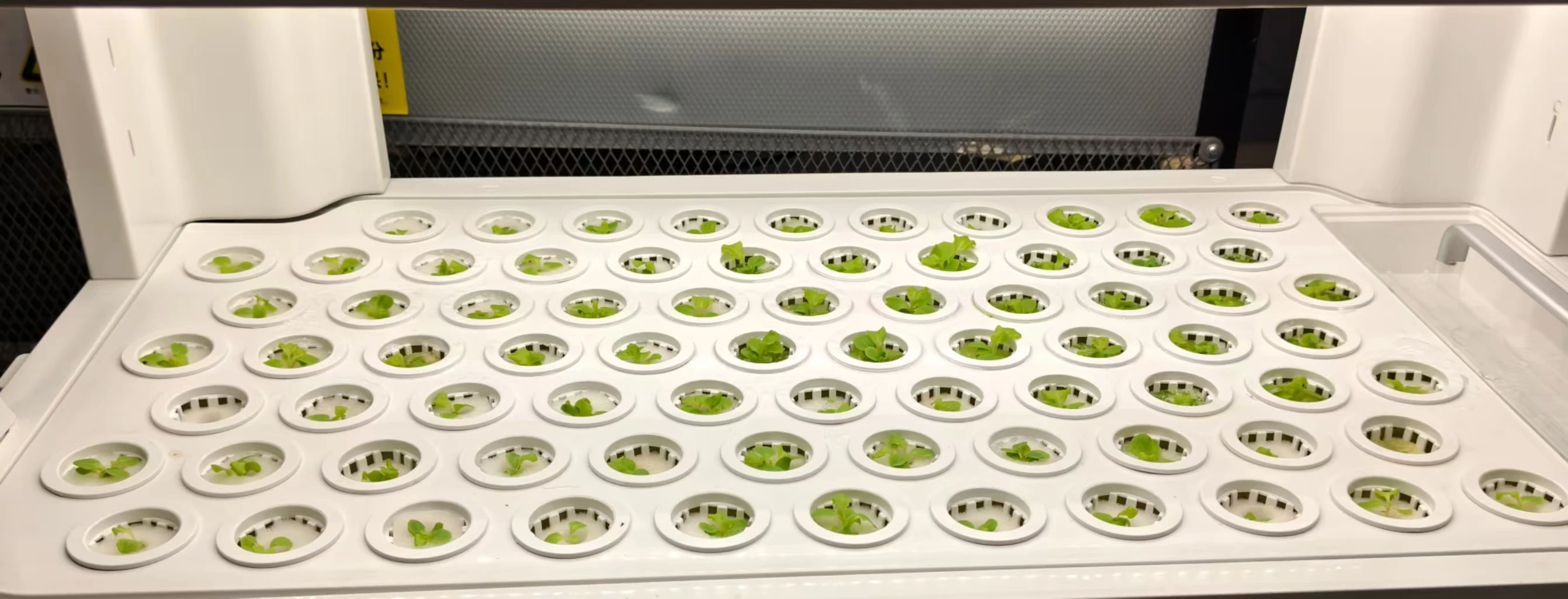 زارع الخضروات بضمان لمدة عام تم اختباره ومعتمد على الزراعة المائية الذكية الأوتوماتيكية #4