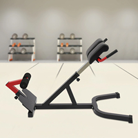 Multifunctional Back Gym Bench 5 Levels Adjustable Roman Chair Hyperextension Bench Load Back Extension Bench Machine for Fitnes