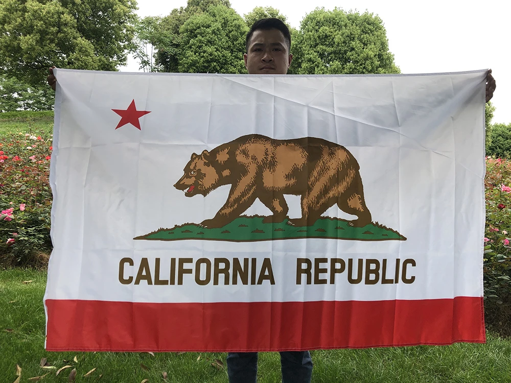 SKY FLAG california flag 90*150cm double side printed polyester hanging us usa state bear california flag