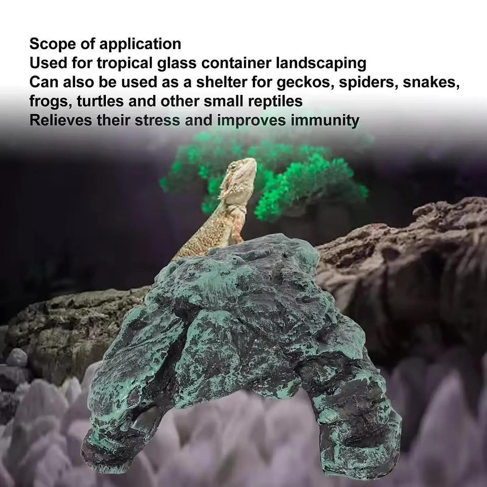 Turtle Basking Cave Tortoise Resting Terrace Shelter Simulation Terrarium