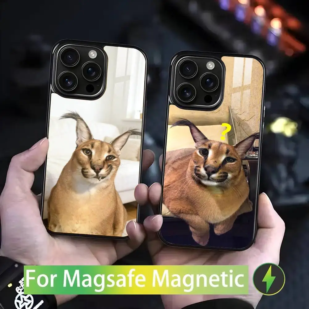 

B-Biggest F-Floppa fat For iPhone 17,16,15,14,13,12,11,Pro,Max,Plus,Mini,SE4,E Magnetic Magsafe Wireless Charging
