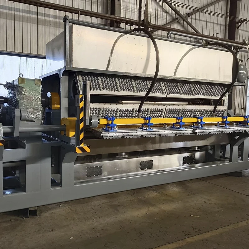 Customized Automatic Egg Tray Machine Best Value with Hot Press Machine Direct Factory