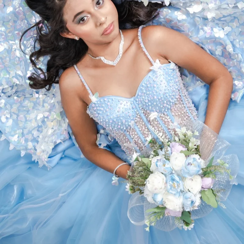

Blue Quinceanera Dresses Off the Shoulder Sequin Bead Decal Butterfly Long tail Bow Vestido De 15 Quinceanera Customize