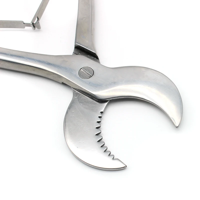 1 шт. M/L стоматологические лабораторные инструменты, ножницы для зубной штукатурки, презервативы, щипцы из нержавеющей стали, инструмент, ножницы для гипсовой штукатурки