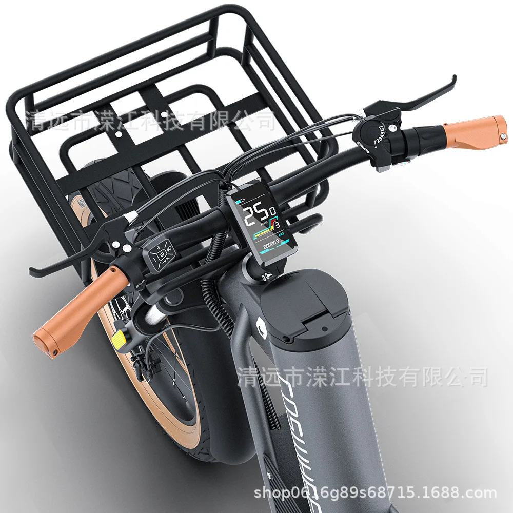 24 inch 500W lithium battery aluminum alloy snow tire all terrain electric bicycle and road vehicle assistance