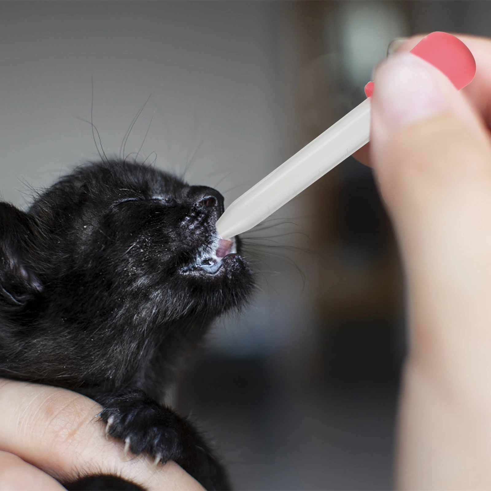 

Pet Feeding Kitten Puppy Nursing Tool Adjustable Dropper Design Lightweight Newborn Supplies Cat Bowl