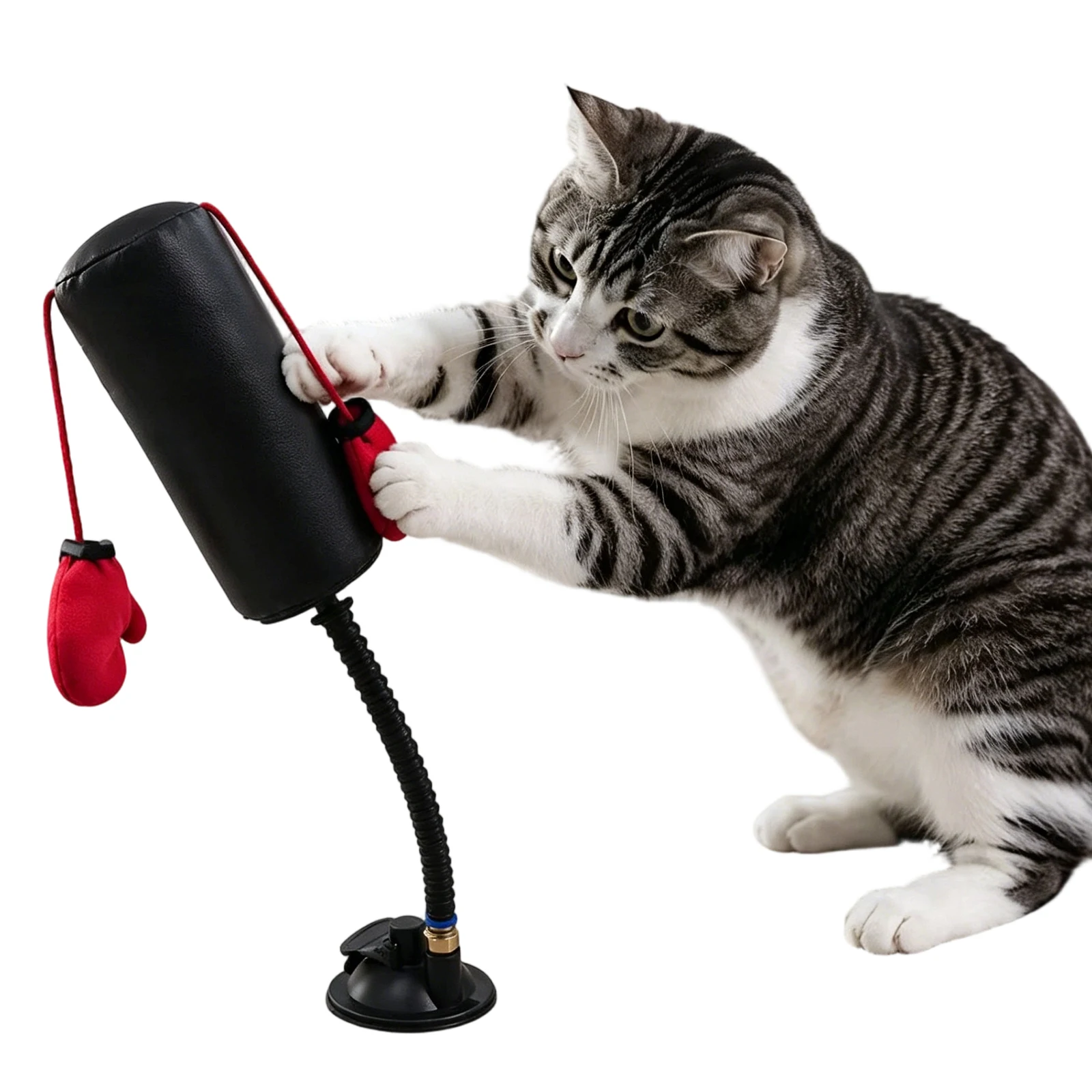 Cat Boxing Bag with Boxing Gloves 13.78 Inch Felines Boxing Exercise Teaser Interactive Kitten Punching Bag for Play & Training
