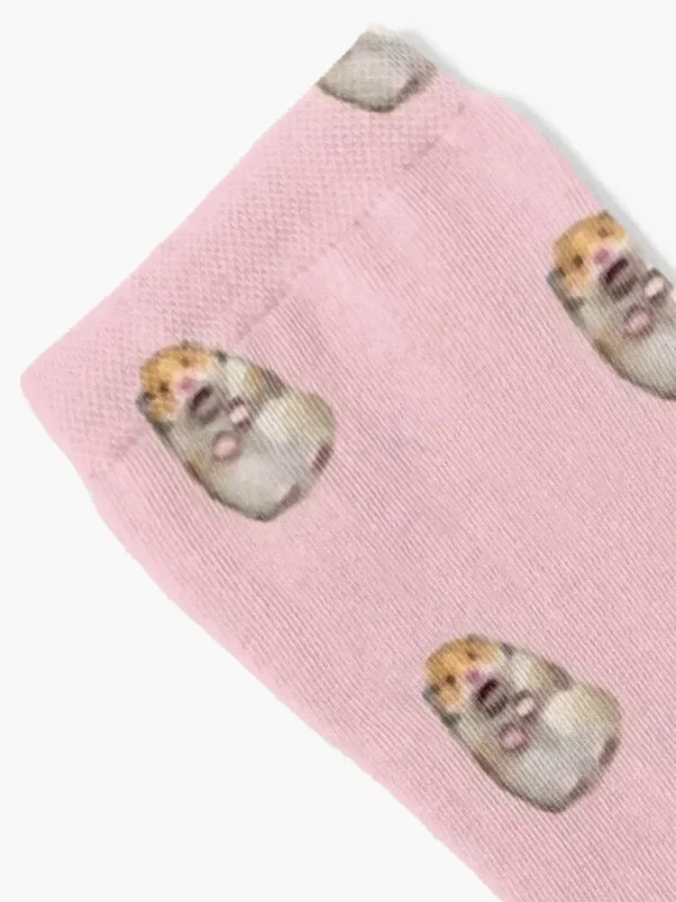 Spooked Hamster Socks gift kawaii Socks Girl Men's