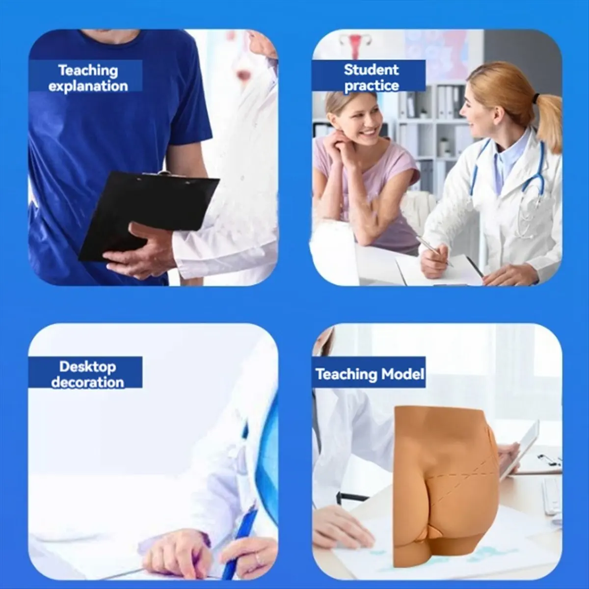 ABNH Human Hip Joint Intramuscular Injection Simulator Anatomical Model, Buttocks Care Puncture, Medical Teaching Resources