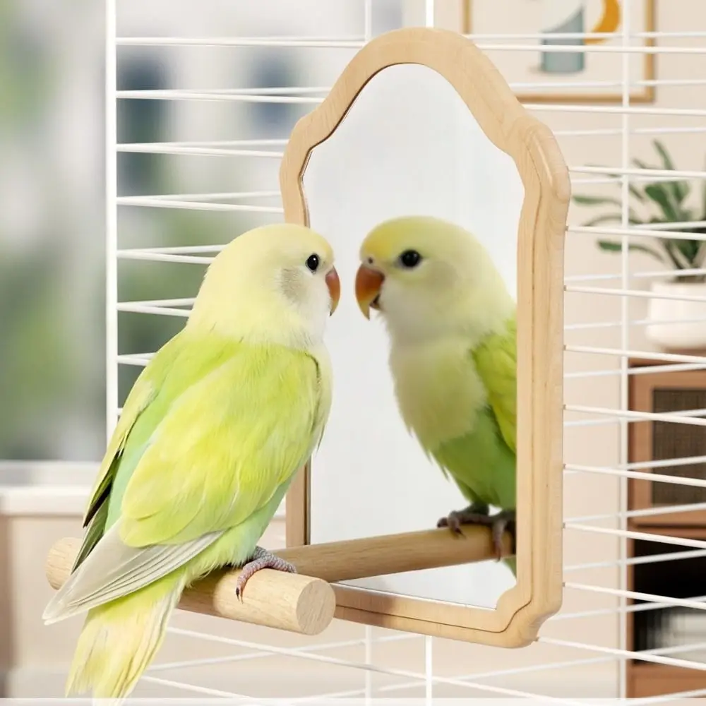 

Wear-Resisting Bird Mirror Perch Detachable Bite-Resistance Parrot Mirror Durable Interactive Bird Bird Cage Accessories