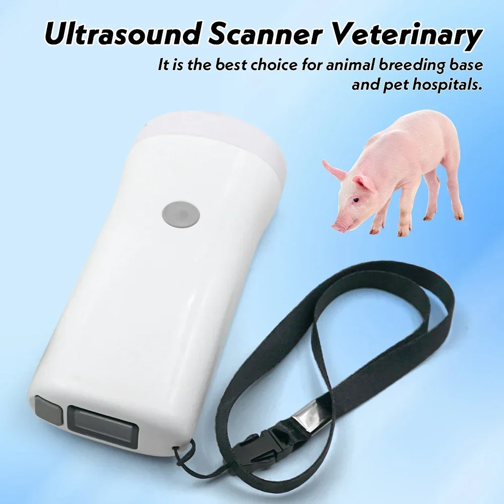 Wireless Veterinary Ultrasound Probe Scanner 80 Element Electronics Pregnancy Test Handheld Ultrasound Machine for Pig Sheep