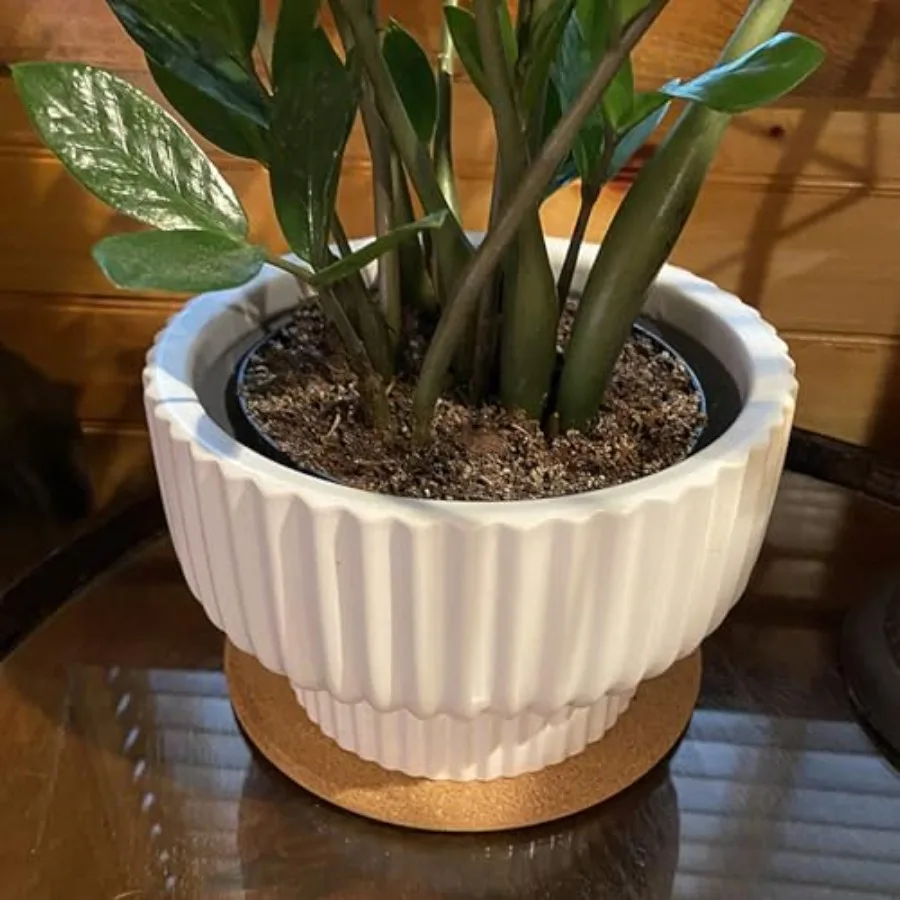 10 قطعة 7.5 بوصة الفلين الركيزة الفلين الوقايات النباتية 3 8 بوصة سميكة مستديرة الفلين الوقايات مقاومة للحرارة الفلين منصات ساخنة للأطباق الساخنة