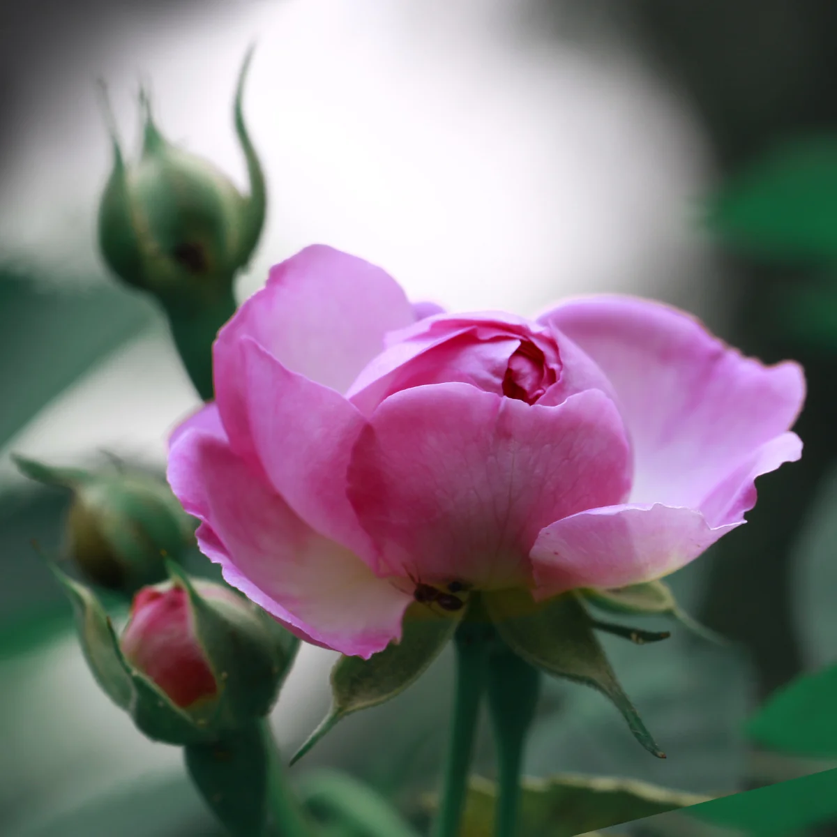 

Комплект металлических деталей для тюнинга Wltoys 144001 144010 124017 124019 124007 RIaarIo XDKJ-001 XDKJ-006 AM-X12, аксессуары для радиоуправляемых машин